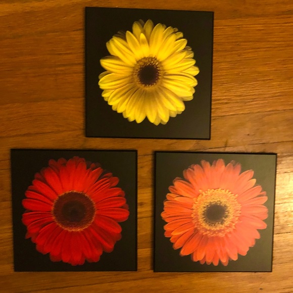 Other - 3 Piece Wood Flower Daisy Wall Decor Plaque